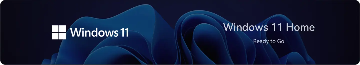 Windows 11